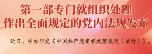 用好組織處理措施，督促干部干凈擔當